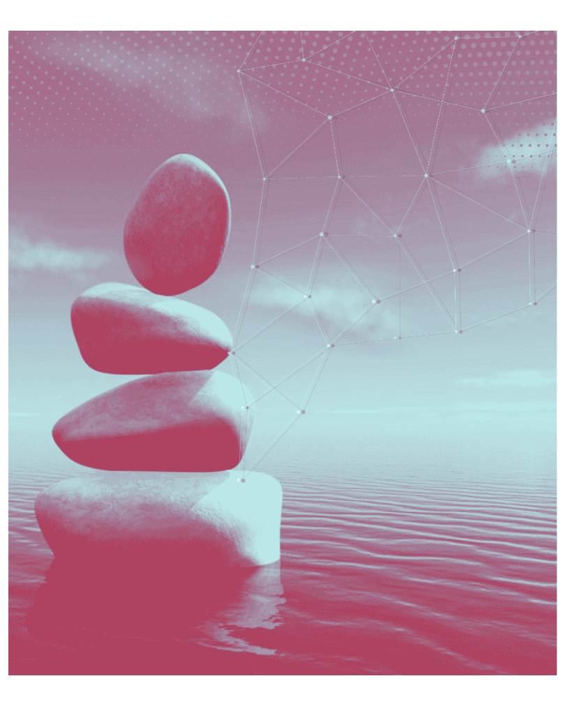 Newsletter-IPAY Attention : Issue No. 25 - 01/2025